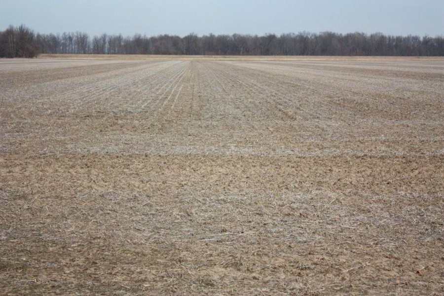 MAJOR LAND AUCTION - 541+/- Acres offered in 5 Tracts